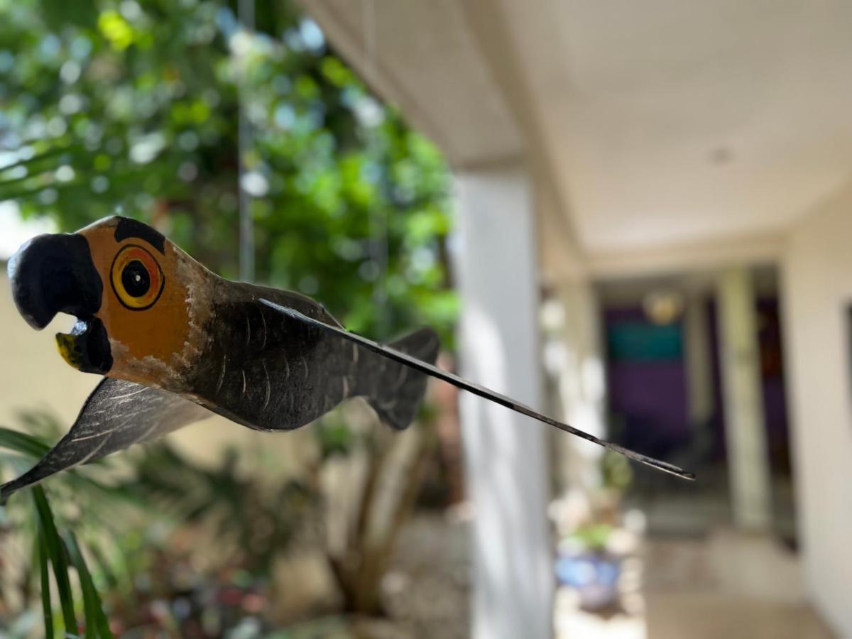 Hotel Balche Bacalar Luaran gambar